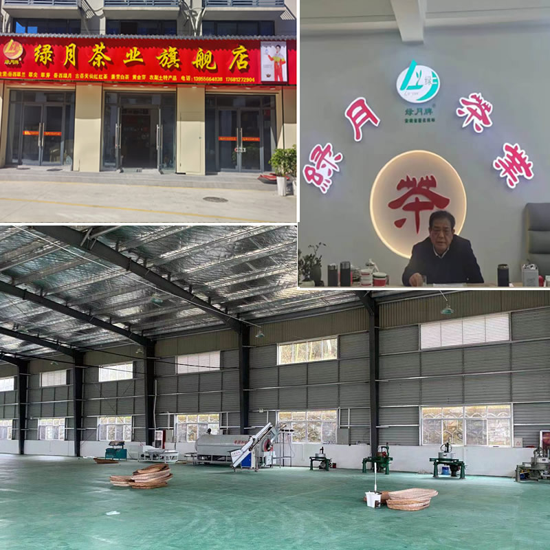 1722328570906152.jpg 1-21061R3395O12.jpg